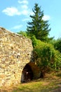 Fortified medieval saxon evangelic church in the village TicuÃÅ¸u Vechi, Deutsch-Tekes,