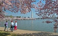 Tidal Basin and Washington Monument with Cherry Blossoms Royalty Free Stock Photo