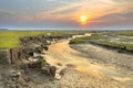 Tidal channel marshland Ameland