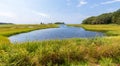 Tidal creek at Barn Island