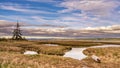Tidal Lands Marsh On Puget Sound Royalty Free Stock Photo