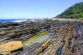 Tidal pool along the Otter Hiking Trail Royalty Free Stock Photo