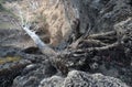 Tidal pool with tree at low tide Royalty Free Stock Photo