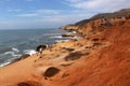 Tidal Pools - Cabrillo National Monument Royalty Free Stock Photo