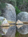 Tidal River Rocks