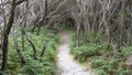 Tidal River Walking Track