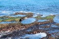 Rock Pool on Bongon Beach Australia Royalty Free Stock Photo