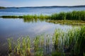 High Tide at Cobscook Bay