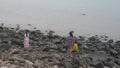 Shenzhen, China: women and children play at the beach or catch crabs.