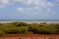 The tide ebbs out leaving the mangroves exposed near Mangrove Point , Broome, Western Australia. Royalty Free Stock Photo
