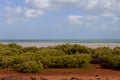 The tide ebbs out leaving the mangroves exposed near Mangrove Point , Broome, Western Australia. Royalty Free Stock Photo