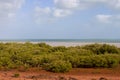 The tide ebbs out leaving the mangroves exposed near Mangrove Point , Broome, Western Australia. Royalty Free Stock Photo