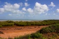 The tide ebbs out leaving the mangroves exposed near Mangrove Point , Broome, Western Australia. Royalty Free Stock Photo