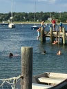 Dock jumping Royalty Free Stock Photo