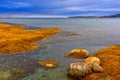 The Tide is Out, Rocky Harbour, Newfoundland