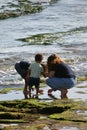 Tide Pool