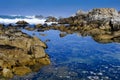 Tide Pool Royalty Free Stock Photo