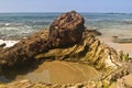 Tide Pool Royalty Free Stock Photo