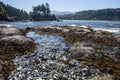 Tide Pool on Olympic Peninsula 2 Royalty Free Stock Photo