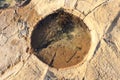 Tide Pool On A Rocky Surface With Small Marine Plants And Algae Forming A Circular Shape Royalty Free Stock Photo