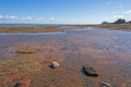 Tide Pools Along the Bay of Fundy
