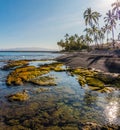 Tide Pools and Exposed Lava on Kiholo Bay Beach