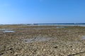 Tide pools with oyster shells in Gili Meno Island in Indonesia. View of sea at low tide and beach. Coral reef in low tide. Royalty Free Stock Photo