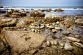 Tide pools on the Pacific Ocean during low tide at La Jolla shores near San Diego, California Royalty Free Stock Photo