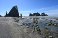 Tide pools and seaweed at low tide at Point of Arches in Olympic National Park. Royalty Free Stock Photo