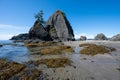 Tide pools and seaweed at low tide at Point of Arches in Olympic National Park. Royalty Free Stock Photo