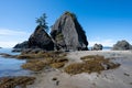 Tide pools and seaweed at low tide at Point of Arches in Olympic National Park. Royalty Free Stock Photo