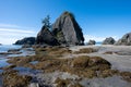 Tide pools and seaweed at low tide at Point of Arches in Olympic National Park. Royalty Free Stock Photo