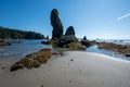 Tide pools and seaweed at low tide at Point of Arches in Olympic National Park. Royalty Free Stock Photo