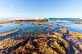 Tide Pools Royalty Free Stock Photo