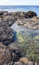 Tide Pools On The Volcanic Shoreline