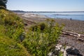 Tide recedes exposing tidal flats for family fun on beach