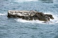 Tide washing cliff Royalty Free Stock Photo