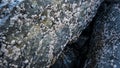 Tidepool boulders with barnacles