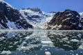 Tidewater Glacier in Kenai Fjords National Park, AK