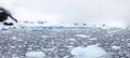 Tidewater glacier, Paradise Bay, Antarctica