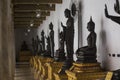 Tidily black buddha statues with golden pedestal are arranging indoor