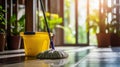 Tidy Living Space Floor Maintenance with Mop and Bucket