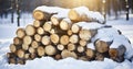A Tidy Stack of Chopped Wood, Draped in a Blanket of Snow, on a Radiant Winter Day