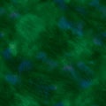 Tie Dye Pattern. Beautiful Emerald Tie Dye. Colorful Tie Dye Pattern. Deep Colors Textile. Tie and Dye. Magic Hand Drawn Fabric.