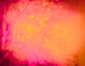 tie dye pattern watercolor abstract art light elegant grunge surface texture border backdrop