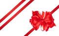 Tied bow made of red silk ribbon on an isolated background, decor for a gift Royalty Free Stock Photo