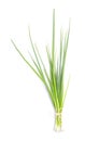 Tied bunch of fresh green spring onions on white background, top view