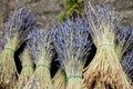 tied bunches of dried purple lavender