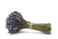 A tied bundle of dried lavender flowers on white background. Lavender bouquet