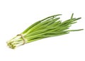 Tied bundle of onions on white background